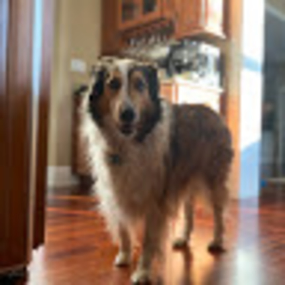 Meet your Posher, Noah